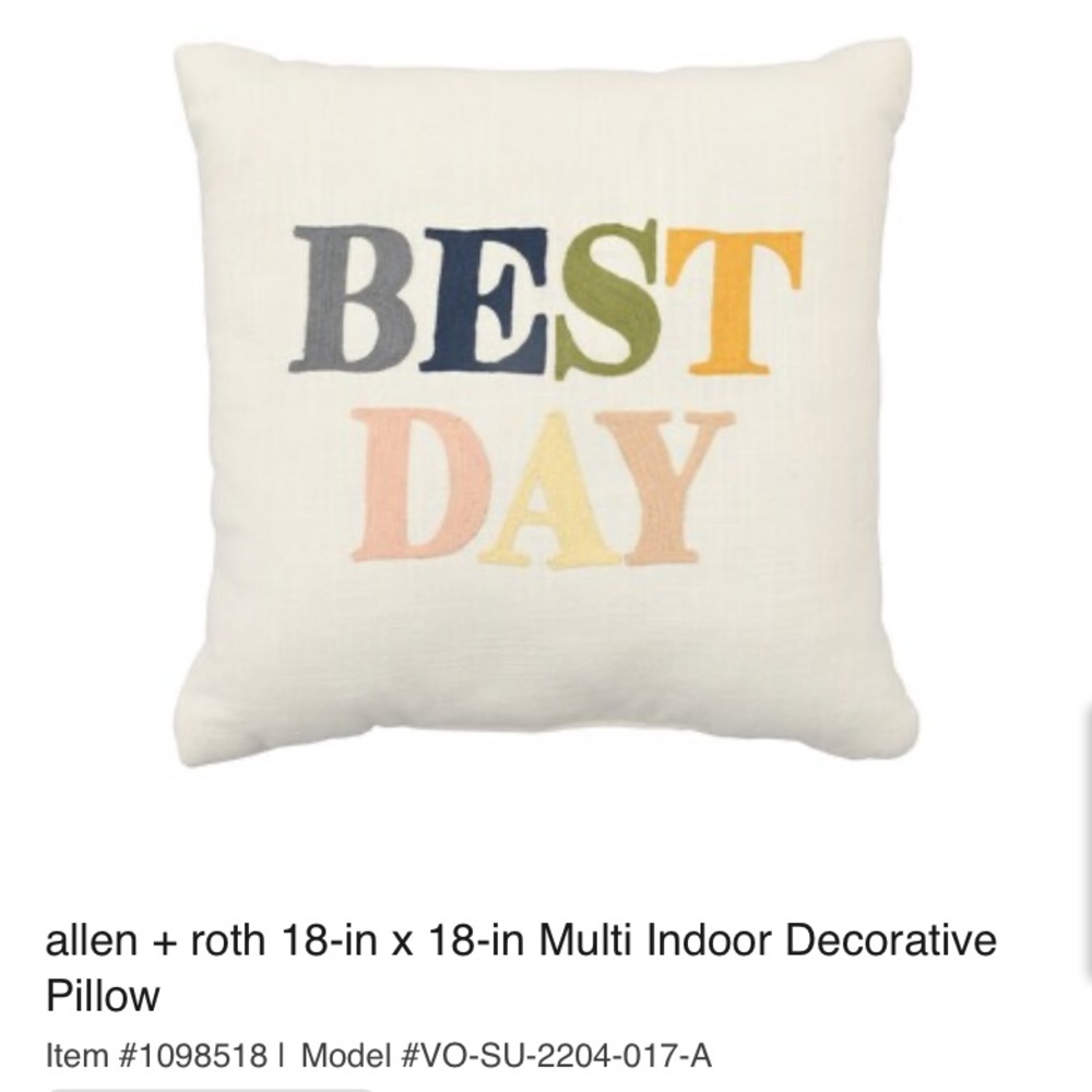Allen & Roth Best Day Pillow